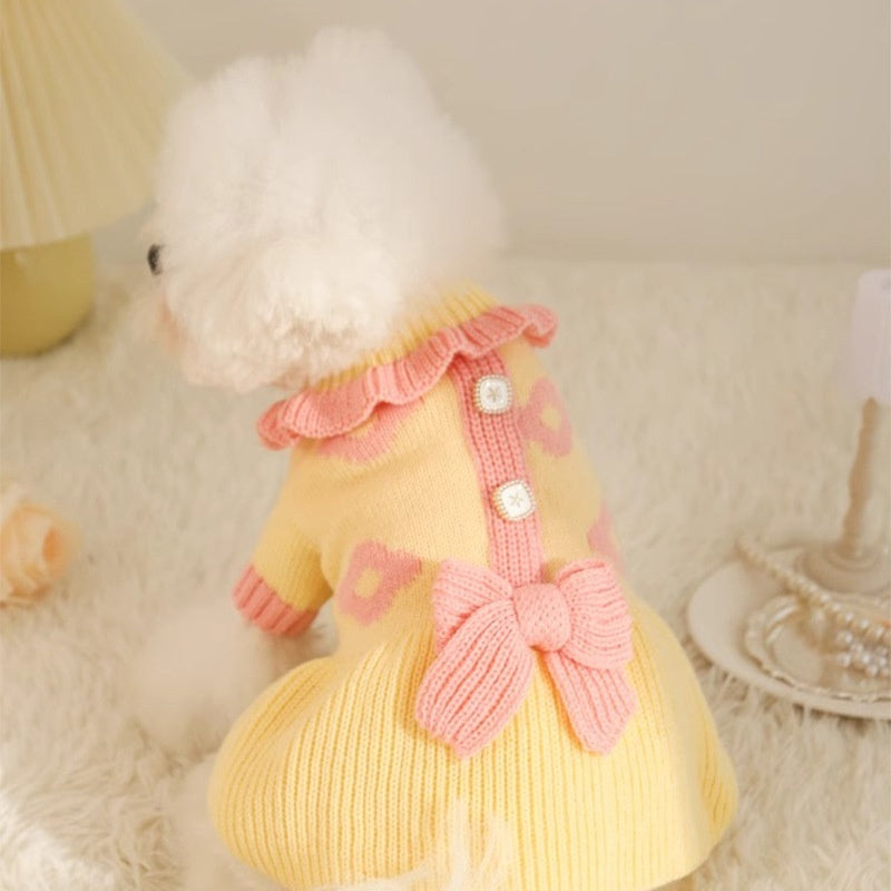 Pull d'automne pour chiot