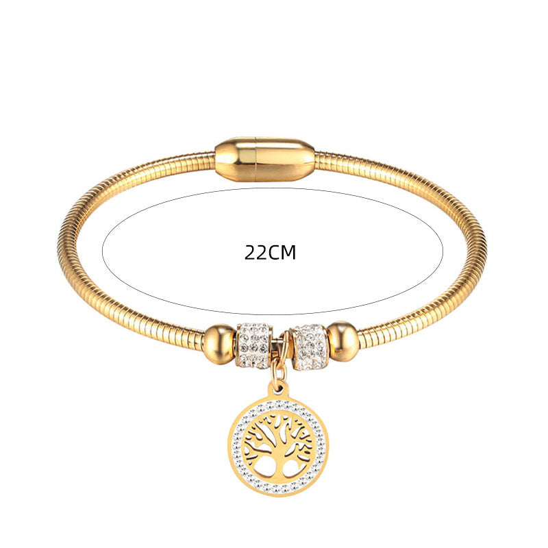 Pulsera con cierre magnético de acero y titanio