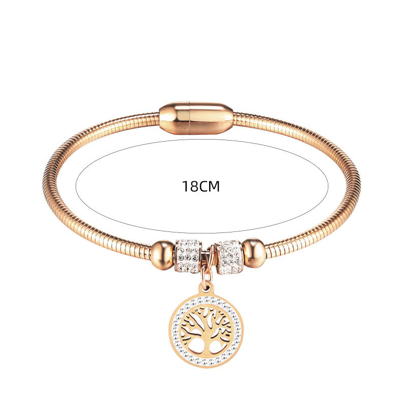Pulsera con cierre magnético de acero y titanio