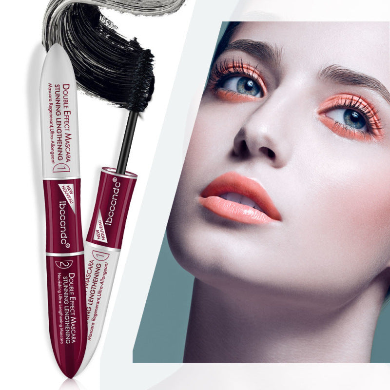 Mascara à deux têtes