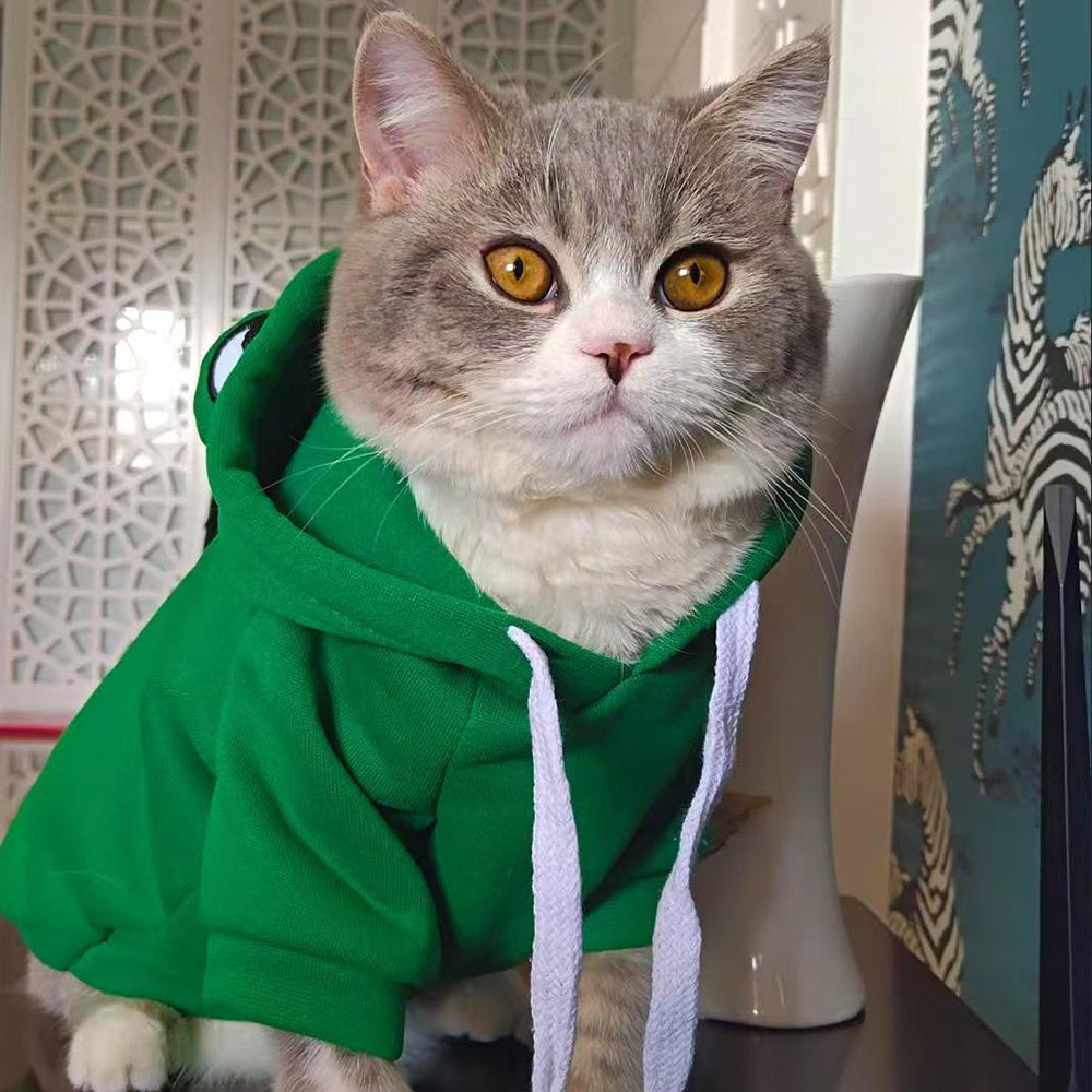 Ropa suave y cálida para gatos pequeños, perros, gatos, divertido disfraz de rana para Halloween, sudaderas creativas para gatitos, sudaderas con capucha de otoño para mascotas