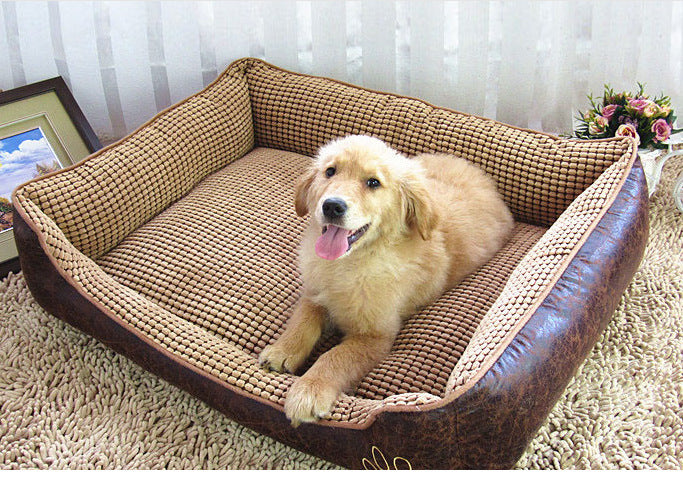 Litière pour chien