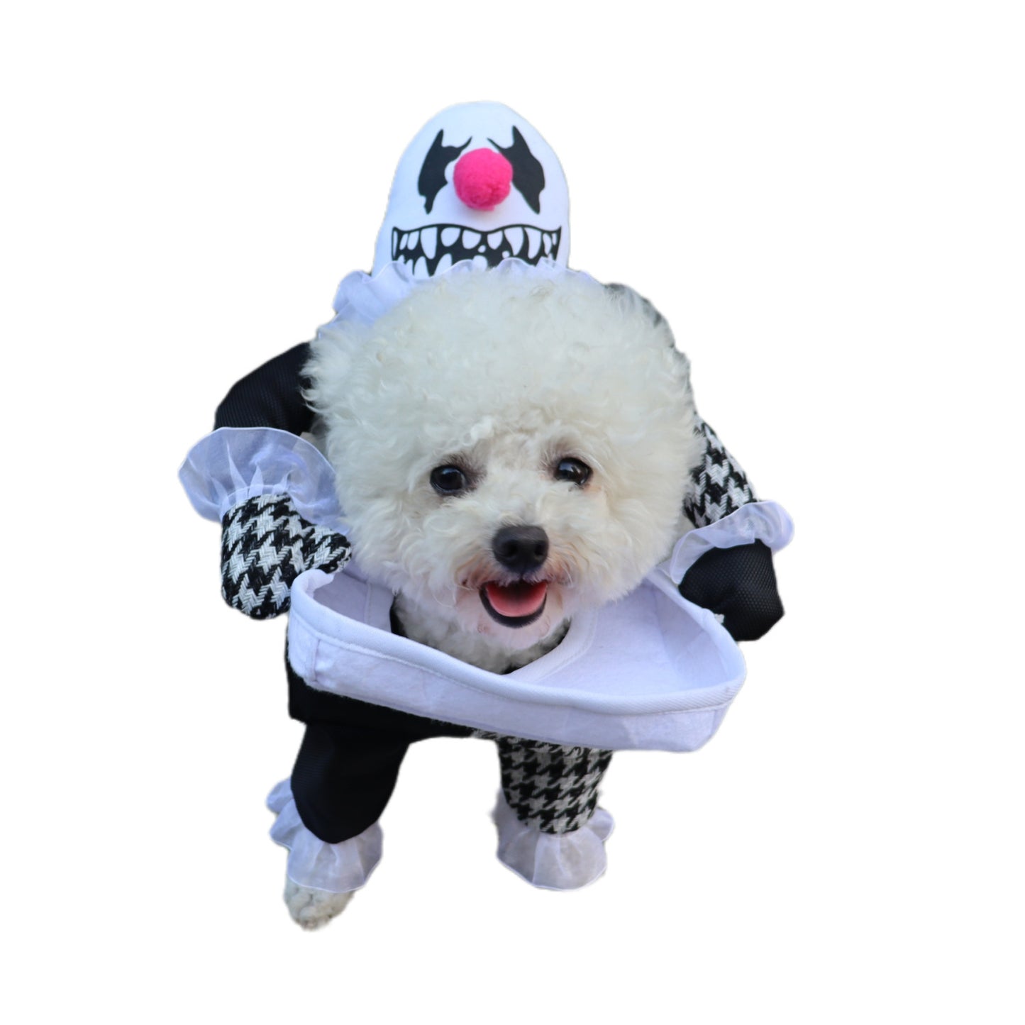 Costume d'Halloween pour animaux de compagnie, accessoires photo, transformation de démon