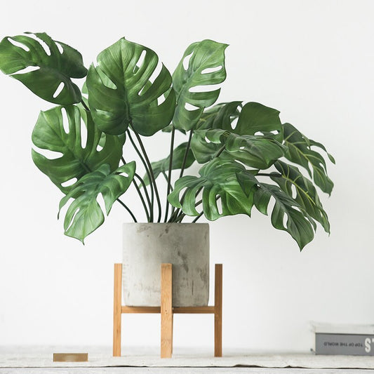 Plante de simulation Monstera
