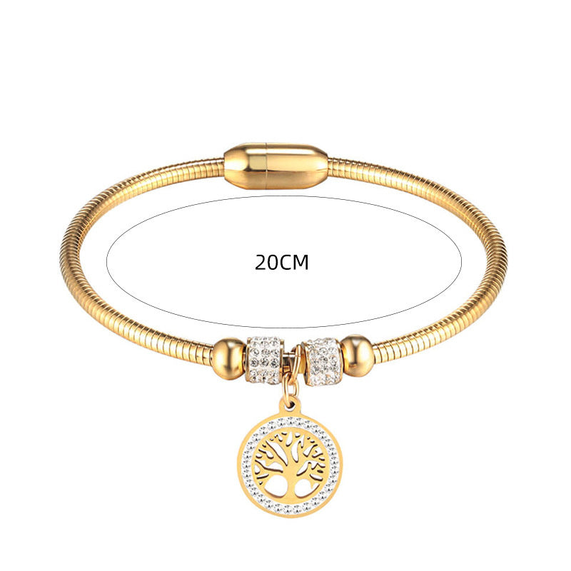 Pulsera con cierre magnético de acero y titanio