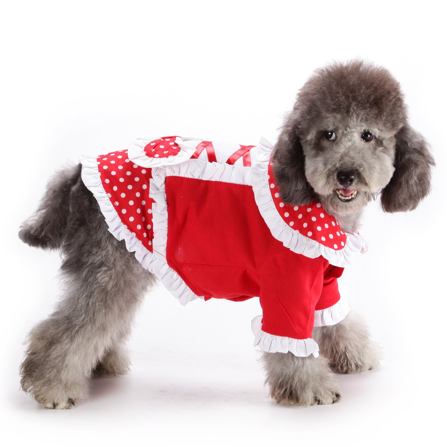 Robe de princesse Lolita décontractée et tendance pour animaux de compagnie