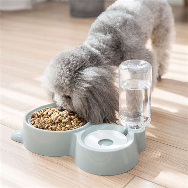 Gamelle pour chien