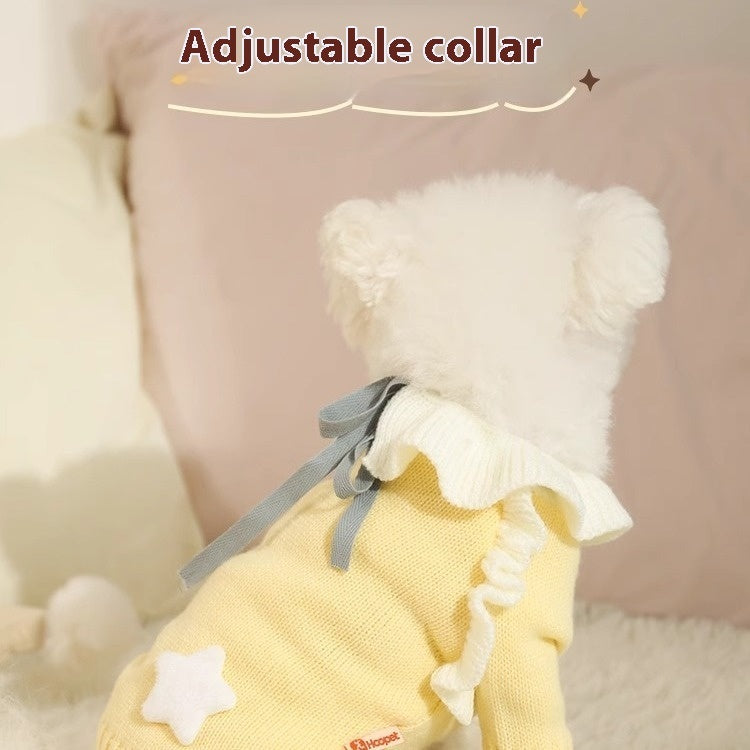 Pull d'automne pour chiot