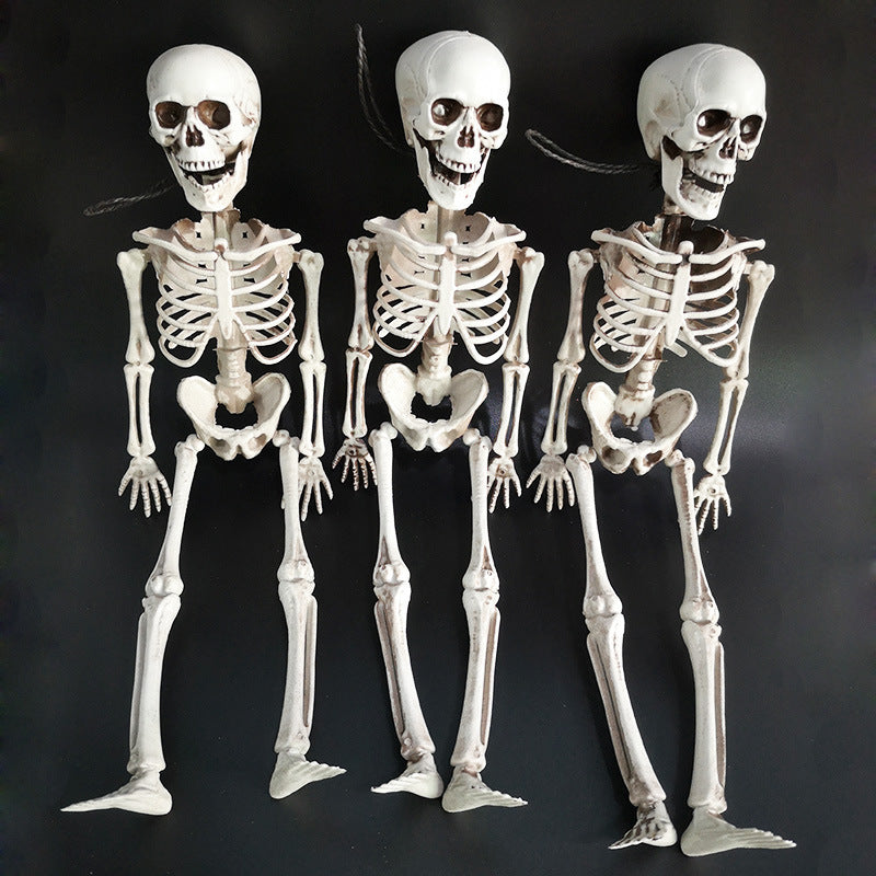 Squelette d'Halloween Squelette