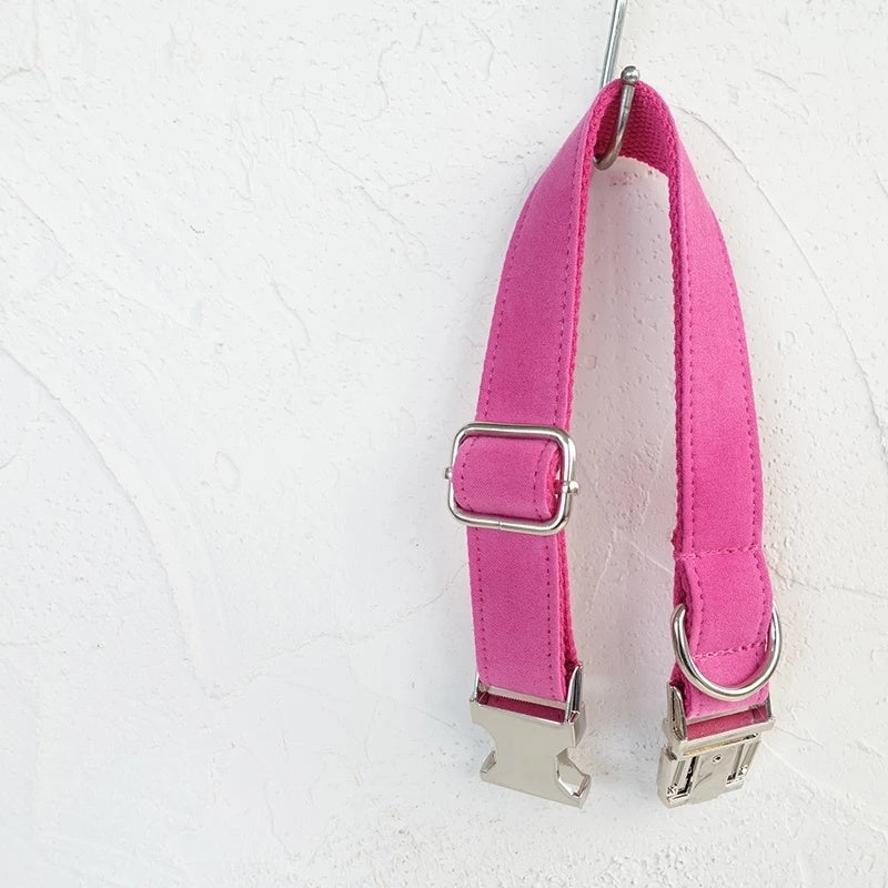 Collar de perro Collar de correa