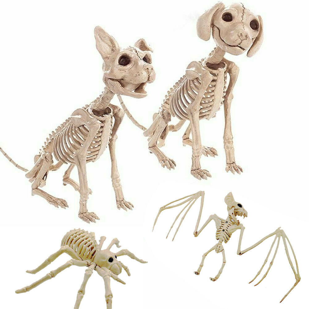 Décorations d'horreur d'Halloween