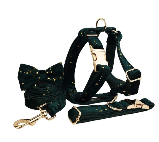 Collier pour chien en tissu velours