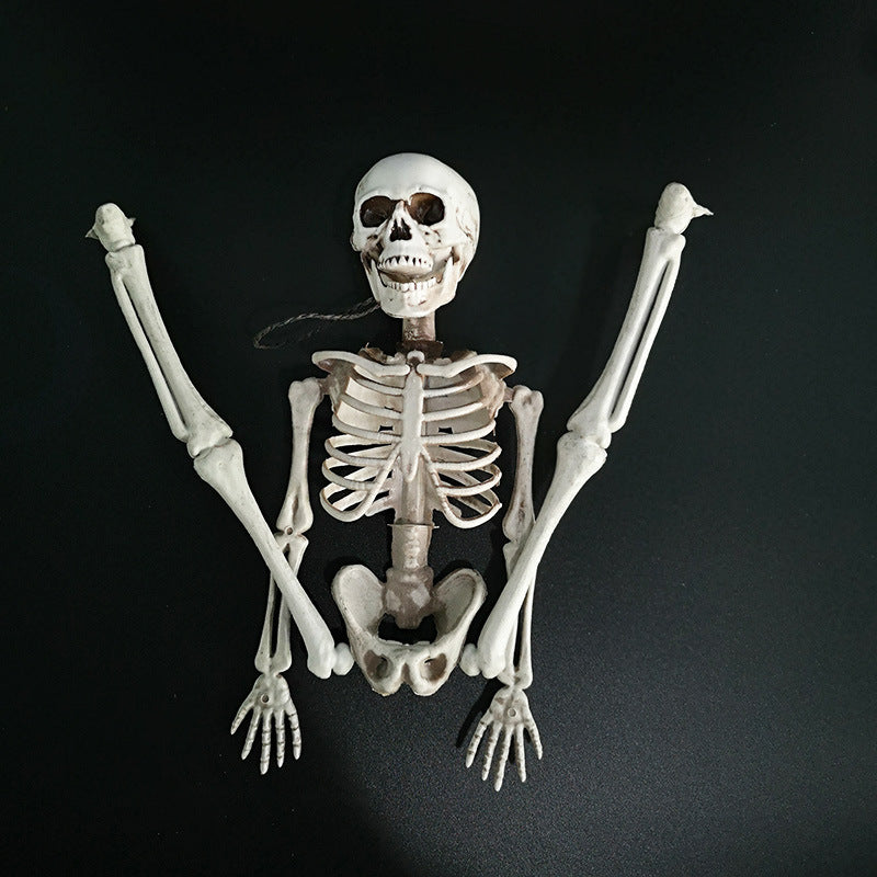 Squelette d'Halloween Squelette
