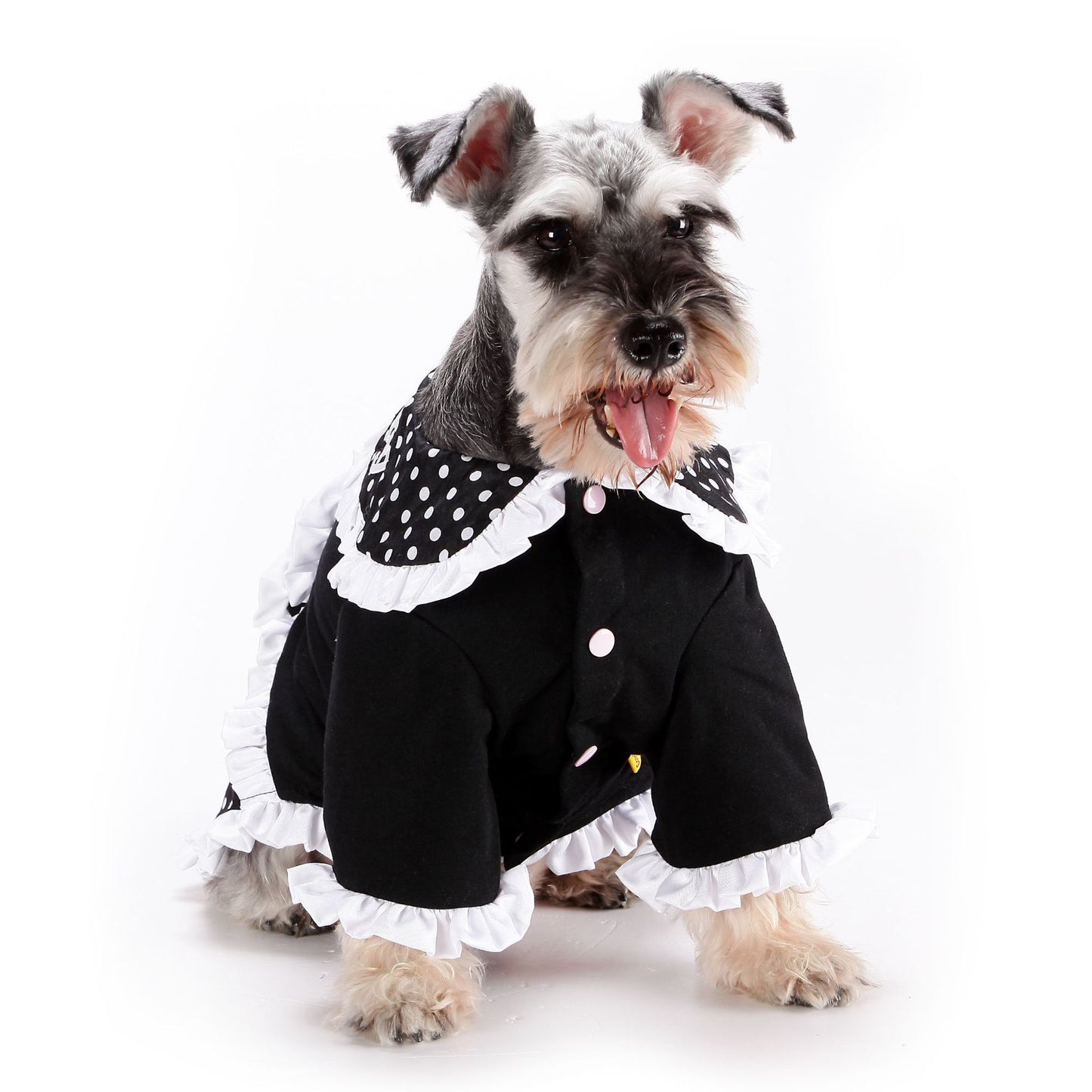 Robe de princesse Lolita décontractée et tendance pour animaux de compagnie