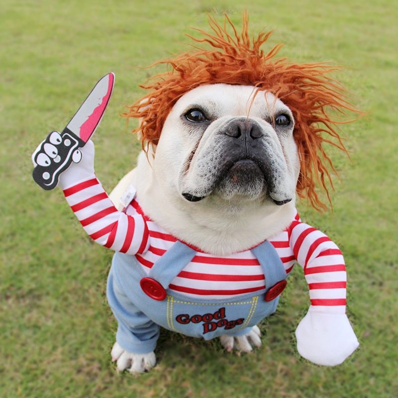 Costume d'Halloween pour animal de compagnie, vêtements amusants et ajustables pour chien, costume de cosplay effrayant, fête
