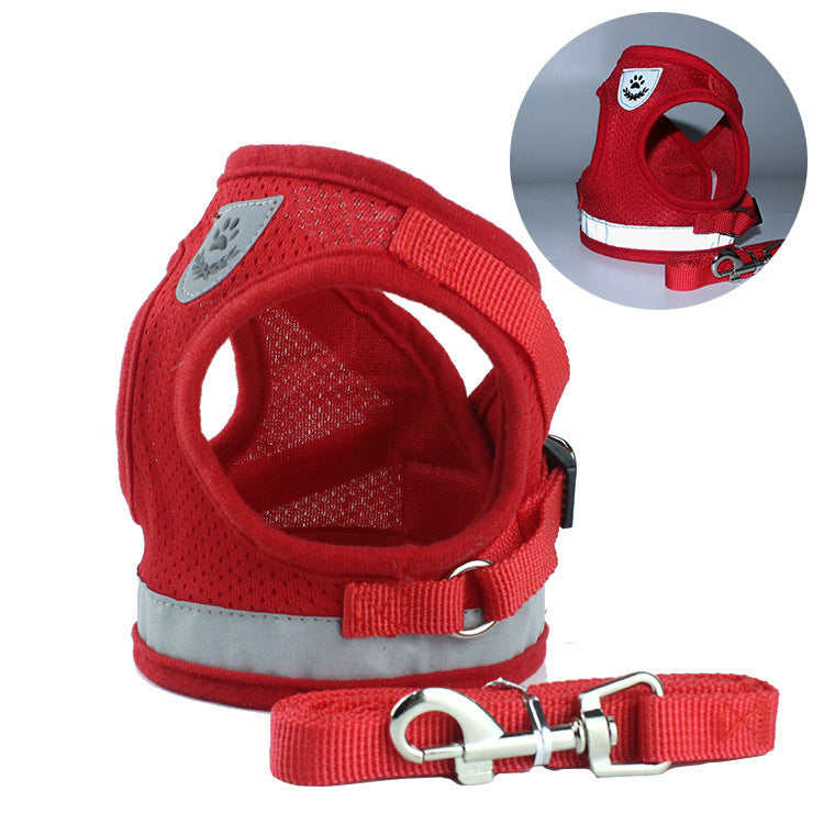 Ceinture de sécurité pour animal de compagnie, laisse pour animal de compagnie