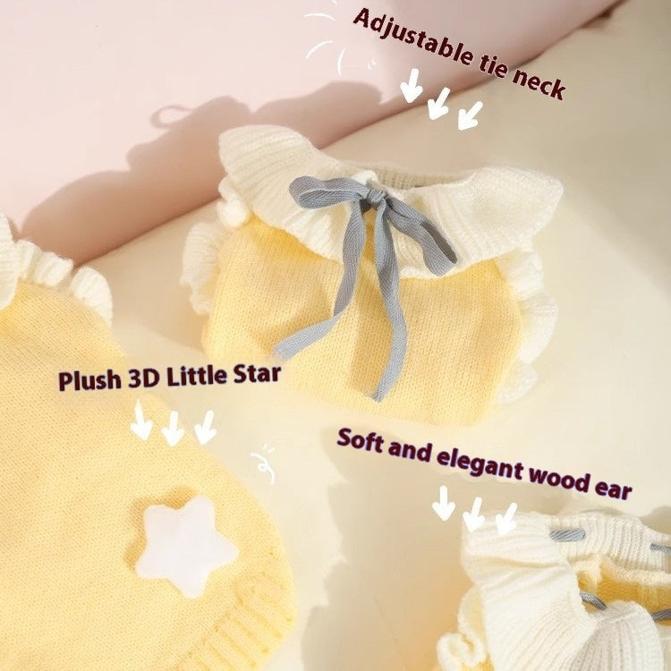 Pull d'automne pour chiot