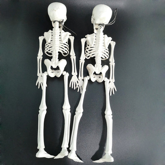 Squelette d'Halloween Squelette