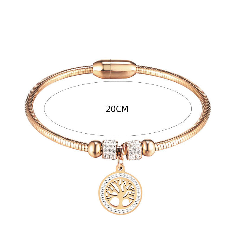 Pulsera con cierre magnético de acero y titanio