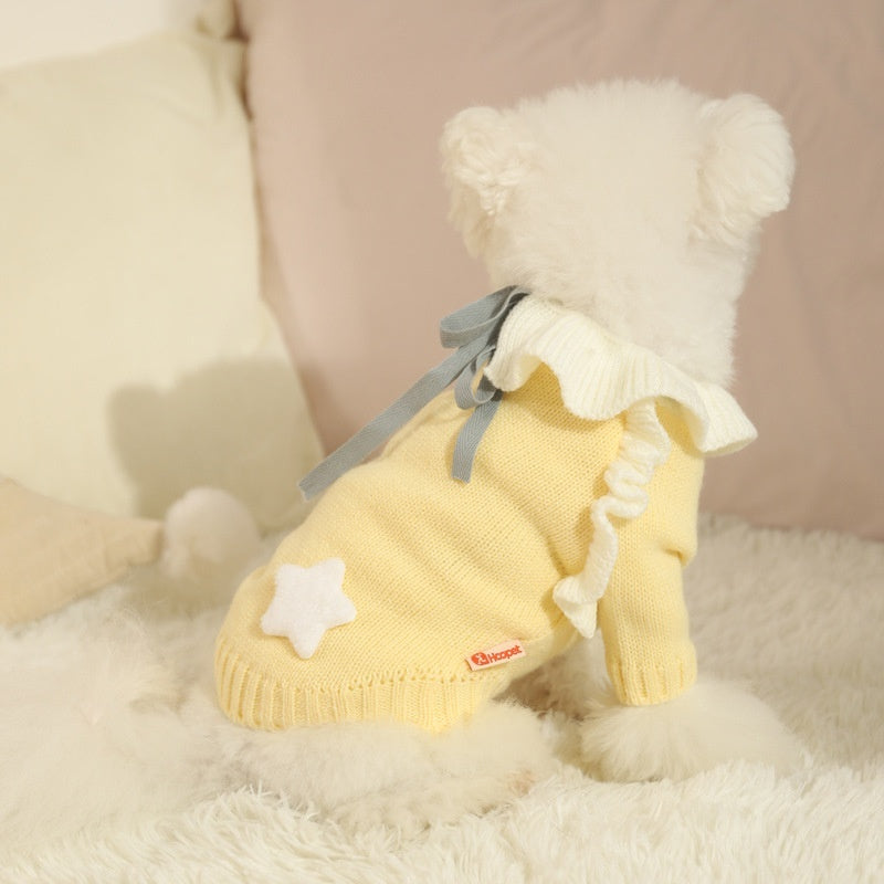 Pull d'automne pour chiot