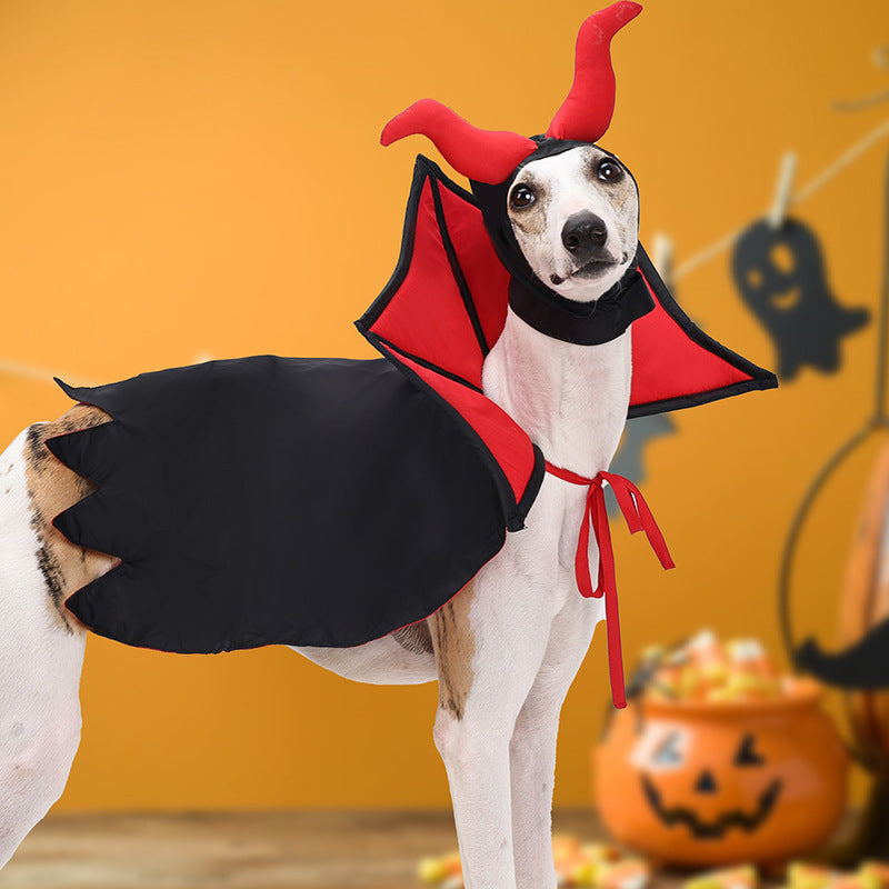 Cape de vampire pour animaux de compagnie d'Halloween, chapeau, costume de vacances