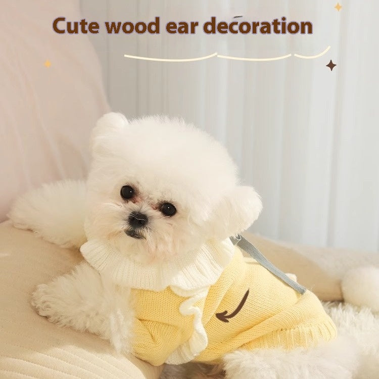 Pull d'automne pour chiot