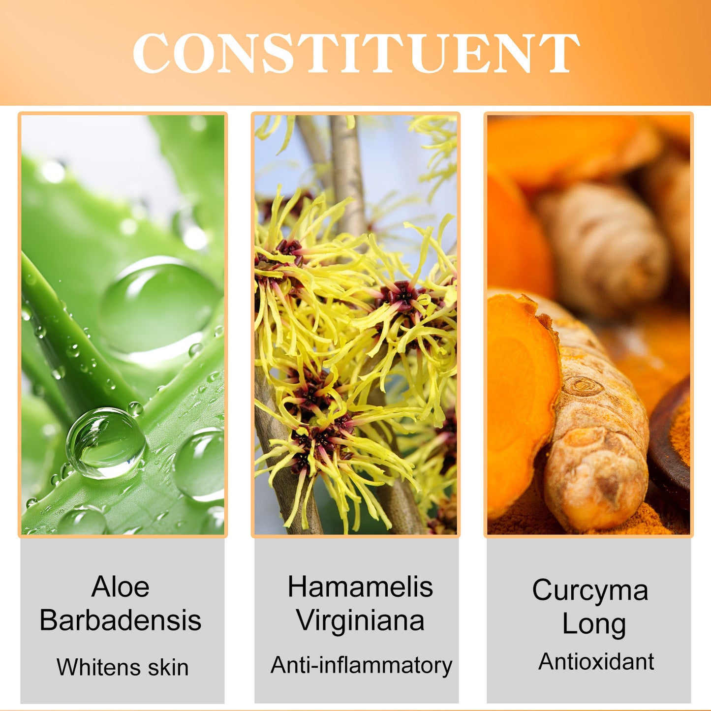 Lotion corporelle au curcuma