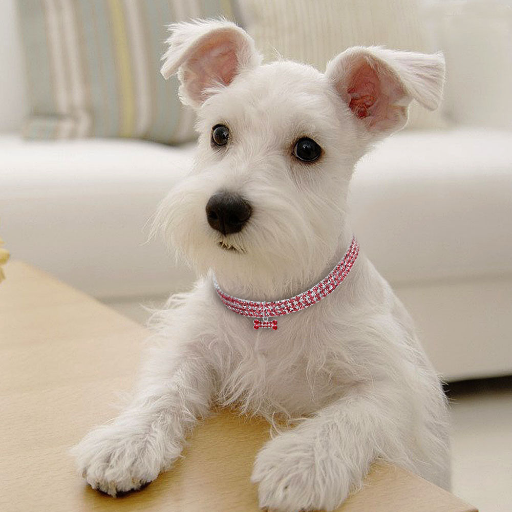 Collar de perro con diamantes de imitación brillantes, collar de cristal para cachorros, chihuahuas, collares para perros pequeños, medianos y gatos