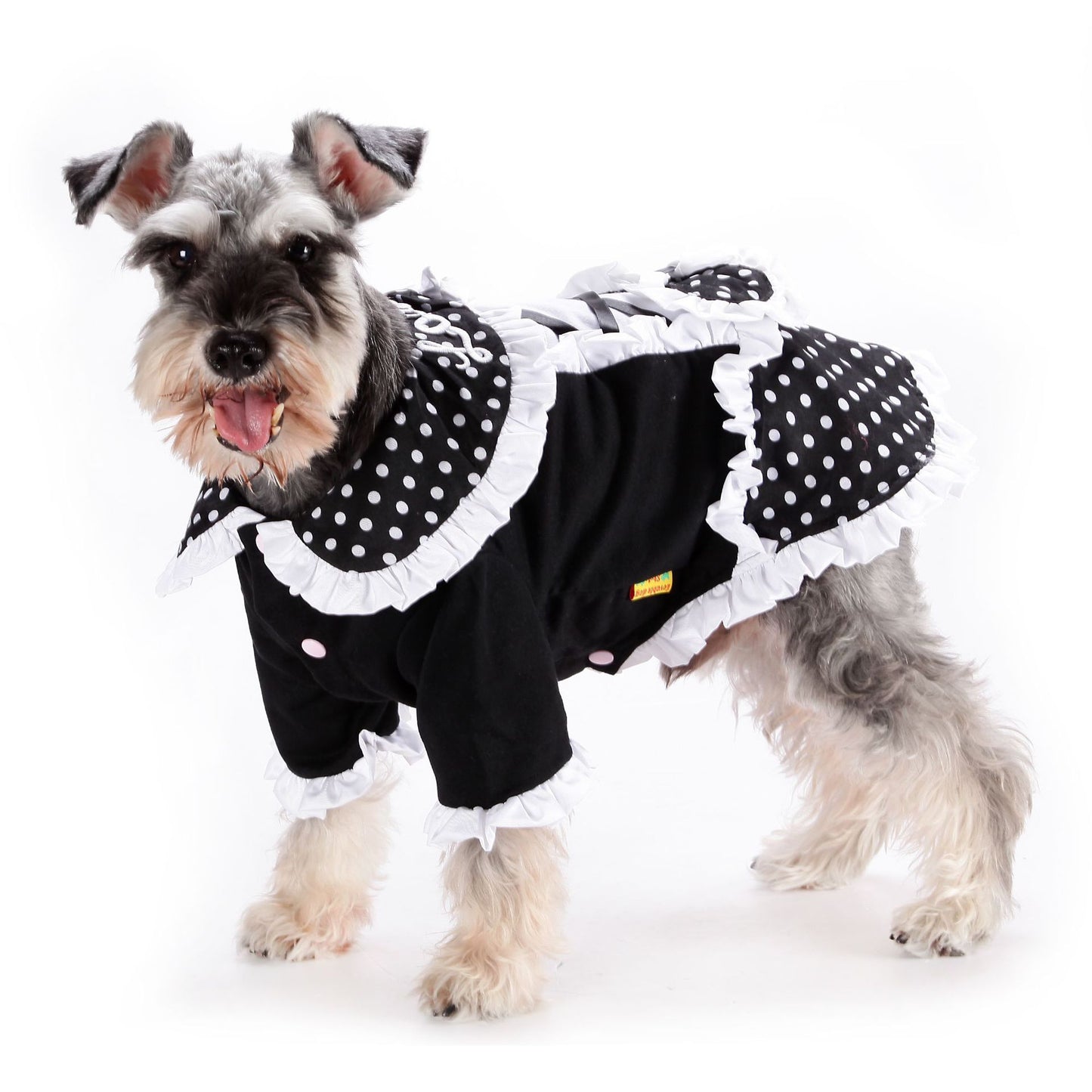 Robe de princesse Lolita décontractée et tendance pour animaux de compagnie