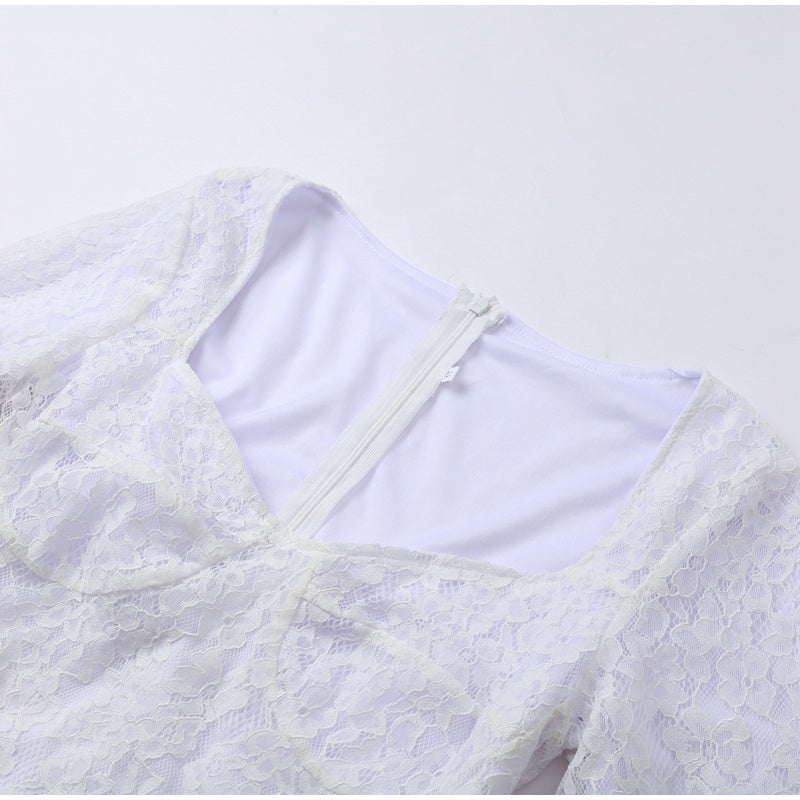 Lace Fur Patchwork Dress