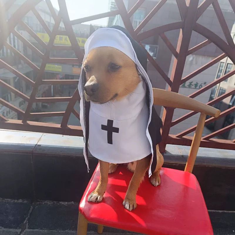 PET SHOW Nun Dog Costume For Small Medium Dogs Halloween Cosplay Outfit Black White Cloak Dress Up Pets Apparel Holiday Party Clothes Boys Girls