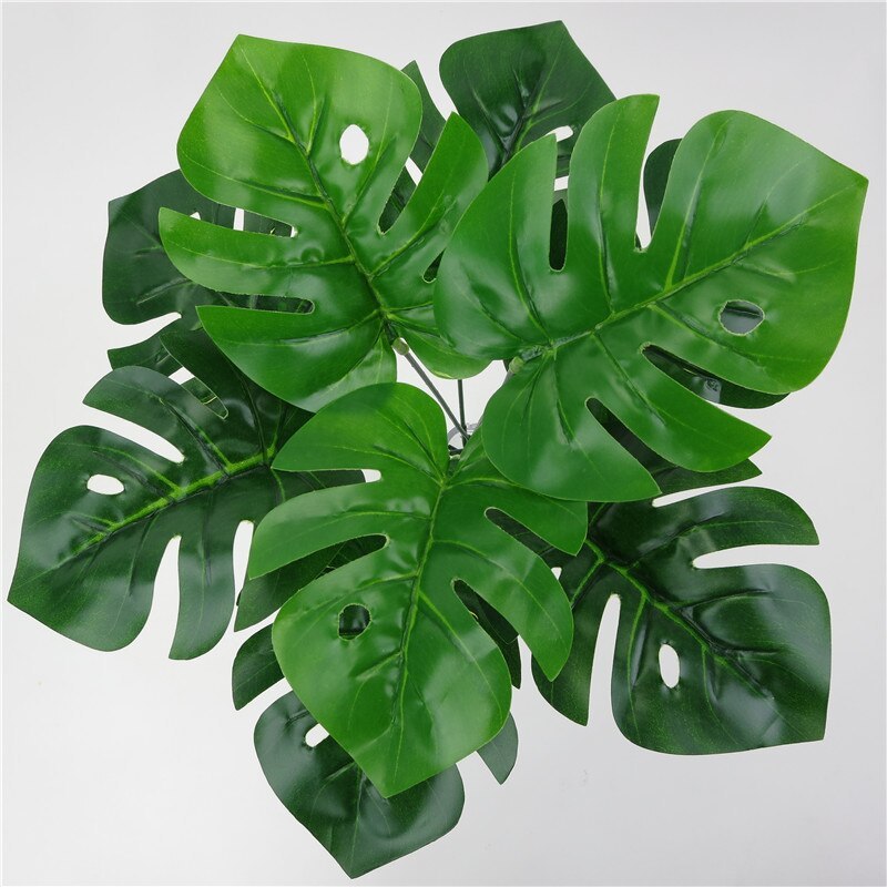 Monstera Simulation Plant