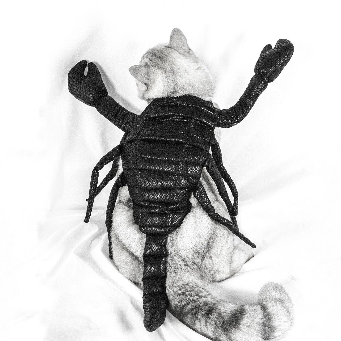 Hot Sale Pet Clothes Halloween Scorpion Pet Costume Cat Party Funny